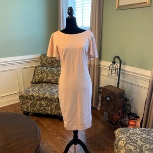 Calvin Klein Blush Pink Career Dress!